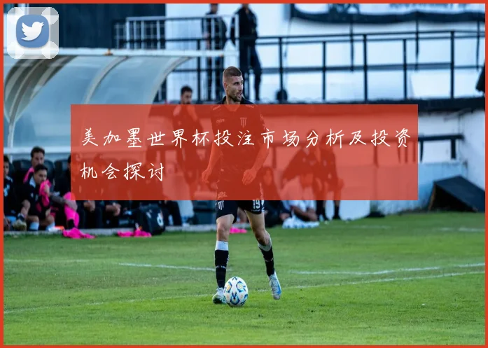 美加墨世界杯投注市场分析及投资机会探讨
